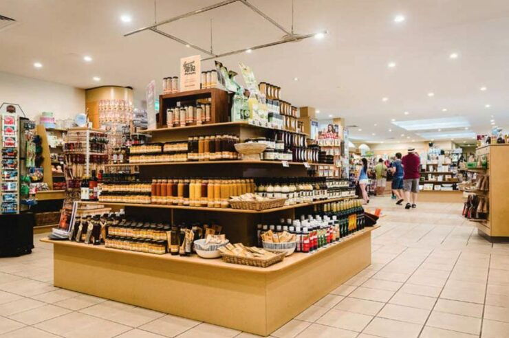 From Brisbane: Day Trip to Noosa, Glass House Mtns and Zoo - Highlights
