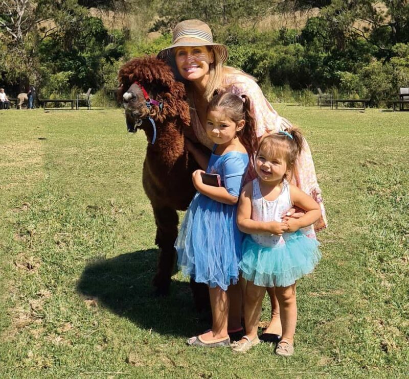 From Brisbane: Lamington National Park Rainforest Tour - Introduction