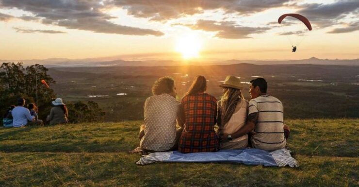 From Brisbane: Luxury Winery Tour and Gourmet Lunch - Activity Highlights