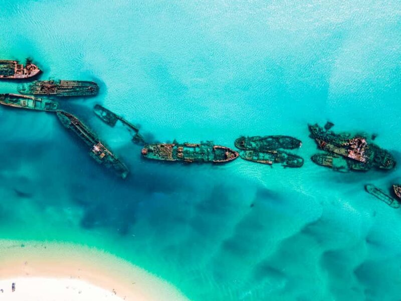 From Brisbane: Moreton Island Full-Day Trip - Introduction