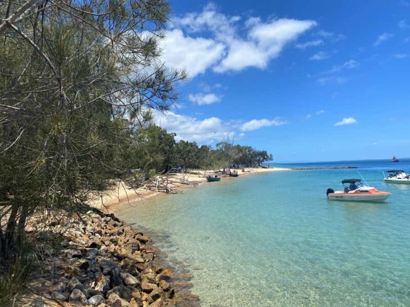 From Brisbane: North Stradbroke Island Wildlife Adventure - The Sum Up