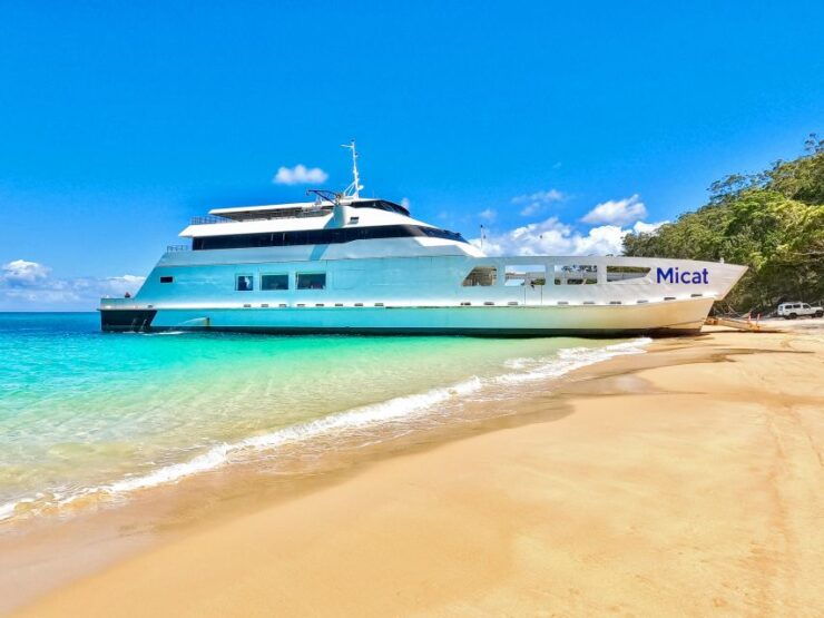 From Brisbane or Gold Coast: Moreton Island Full-Day Trip - Activity and Booking Details