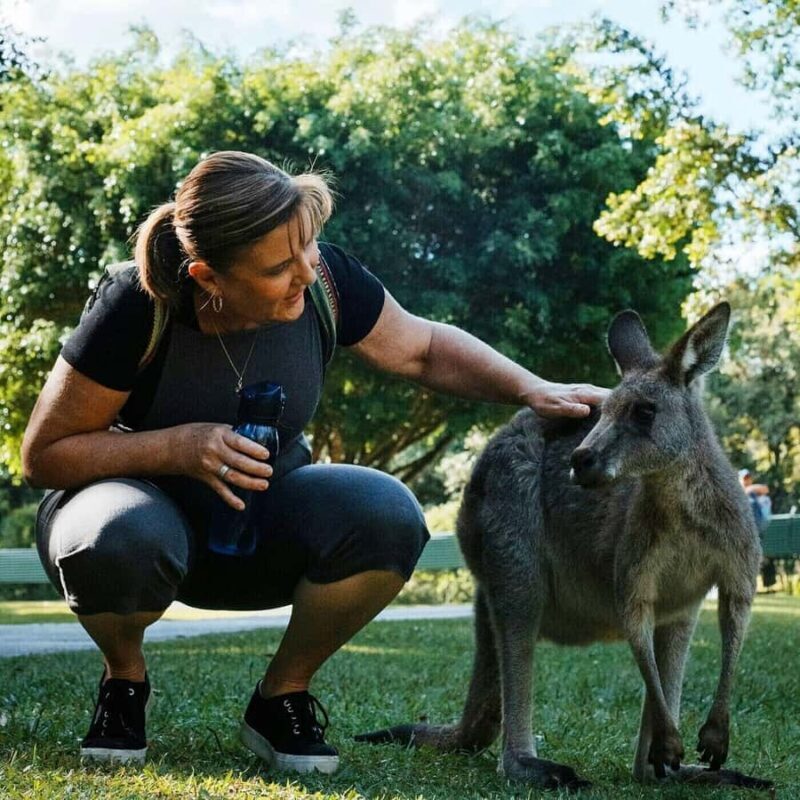From Brisbane: Queensland Zoo and Sunshine Coast Day Trip - Good To Know