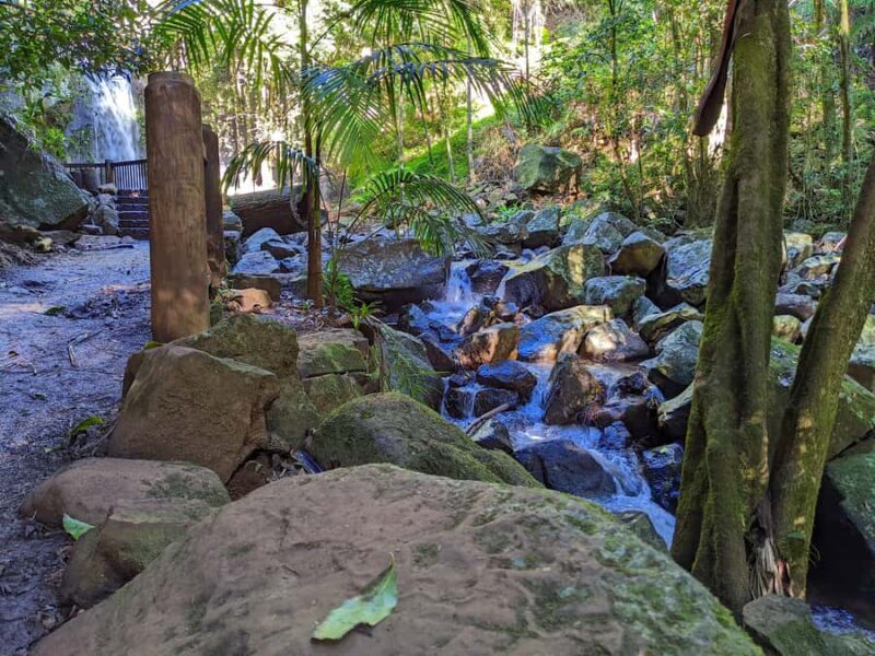 From Brisbane: Tamborine Mountain and Paradise Point Tour - Practical Details and Value