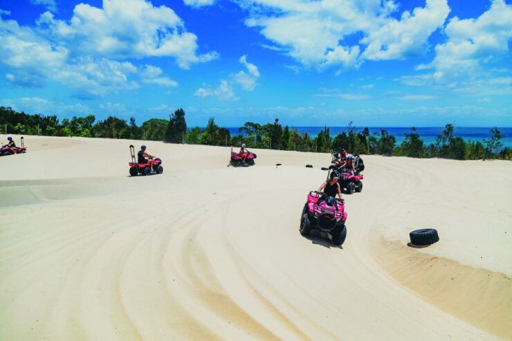 From Brisbane: Tangalooma Day Cruise With ATV Quad Bike Tour - Experience Highlights