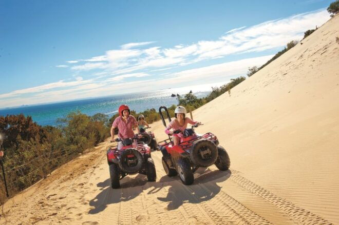 From Brisbane: Tangalooma Day Cruise With ATV Quad Bike Tour - Activity Description