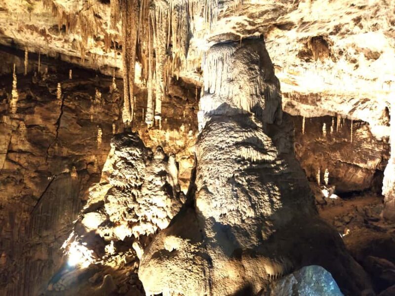 From Brno: Macocha Abyss and Punkva Caves Easy & Guided Tour - What Makes This Tour Valuable