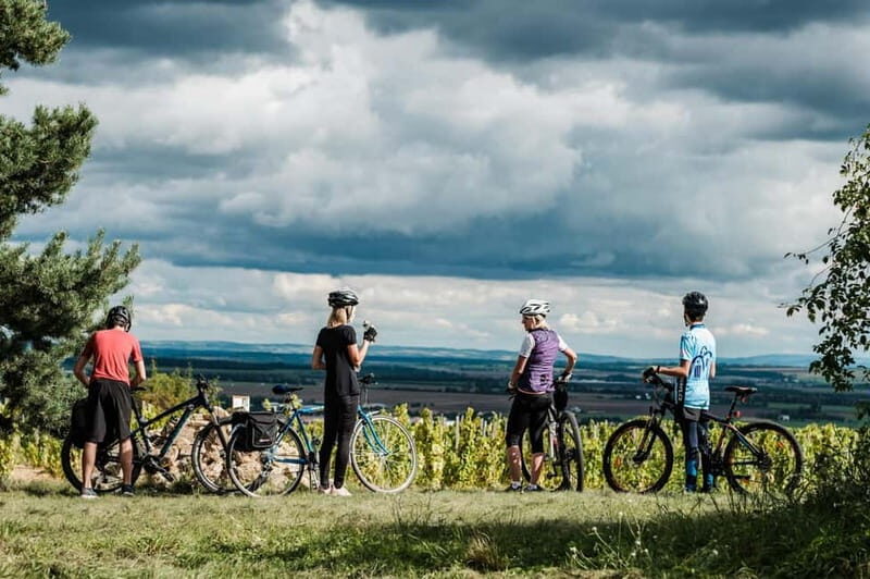 From Brno: Moravian Tuscany E-Bike Tour with Wine Tasting - Who Will Love This Experience?  