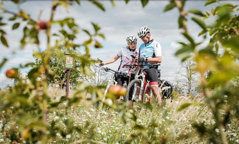 From Brno: Moravian Tuscany E-Bike Tour with Wine Tasting - Final Thoughts  