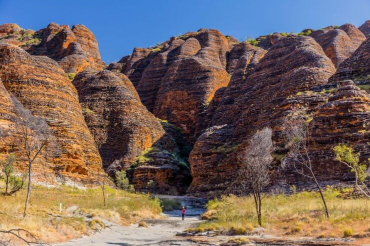From Broome: Bungle Bungle Explorer Scenic Flight - Booking Details