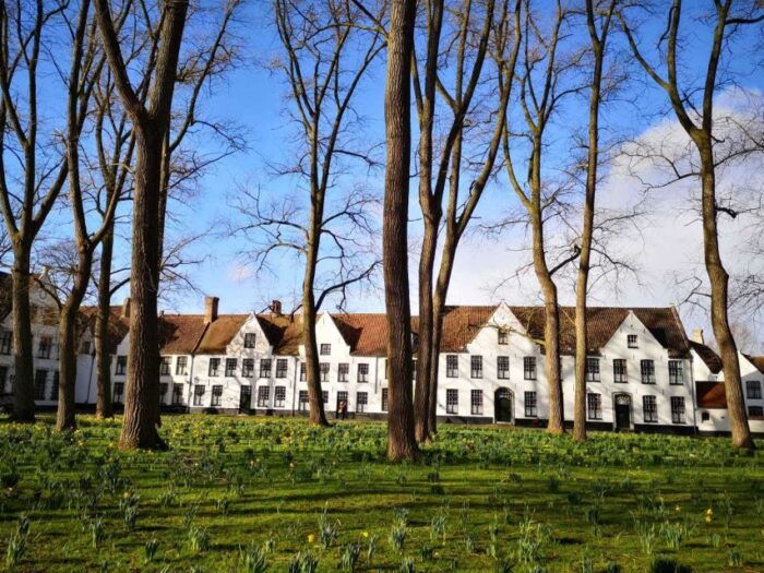 From Brussels: Bruges Day Trip with Boat Tour Option (ES) - The Value of This Experience