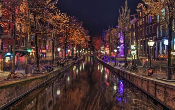 From Brussels: Cheese, Clogs & Windmills Amsterdam Day Trip - The Sum Up