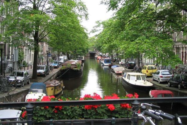 From Brussels: Cheese, Clogs & Windmills Amsterdam Day Trip - Common Questions