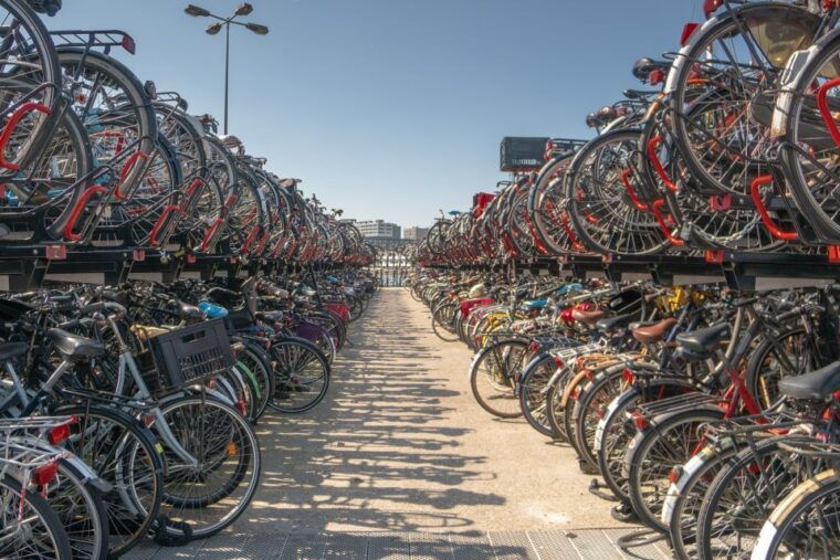 From Brussels: Day Trip to Amsterdam with Canal Boat Cruise - Authentic Insights from Travelers