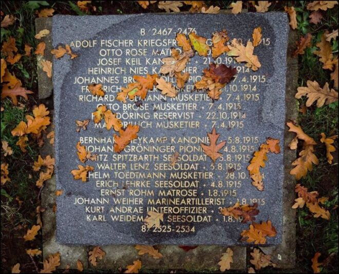 From Brussels: Flanders Fields Remembrance Full-Day Trip - Customer Reviews