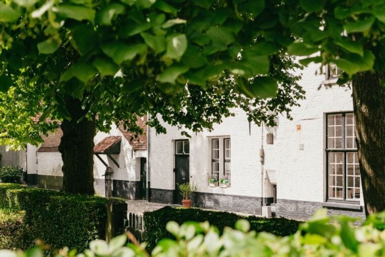 From Brussels: Guided Day Trip to Bruges and Ghent - Practical Tips and Considerations