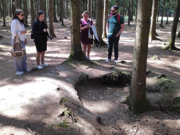 From Brussels: Historic Battle of the Bulge Sites Tour - What to Expect on the Tour