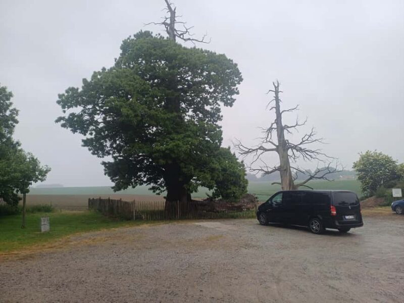 "From Brussels: Waterloo Battlefield History Private Tour - Flexibility and Comfort