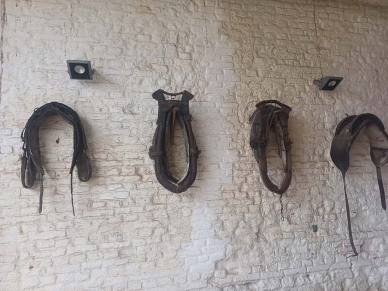 "From Brussels: Waterloo Battlefield History Private Tour - Price and Value