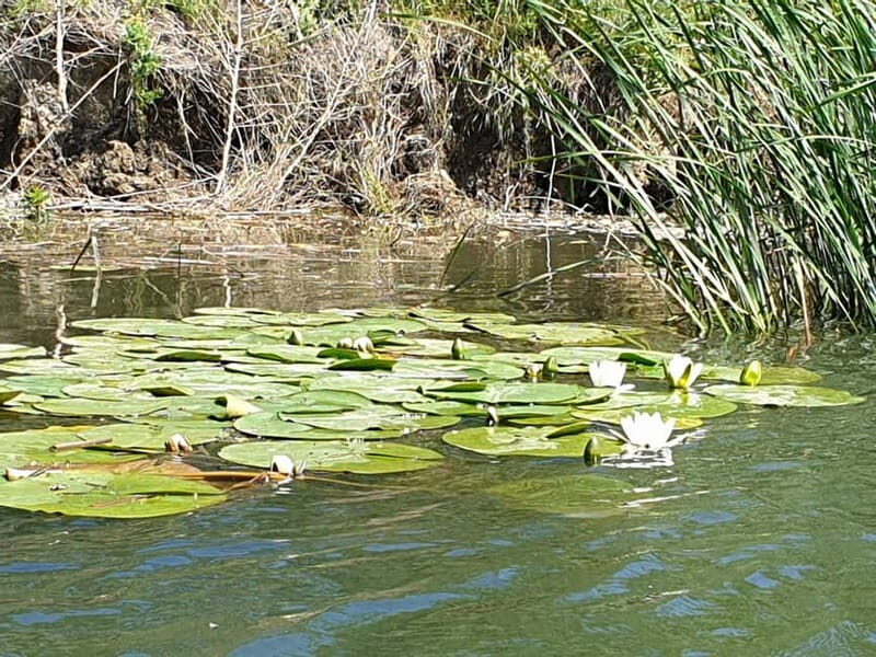 From Bucharest: 2-Day Danube Delta Wonders Small Group Tour - Good To Know