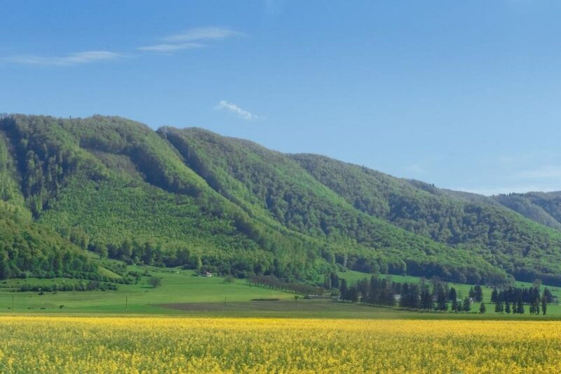From Bucharest: Bear Sanctuary and 7 Ladders Canyon Day Trip - Good To Know