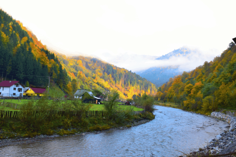 From Bucharest: Bear Sanctuary and 7 Ladders Canyon Day Trip - Deep Dive Into Each Stop