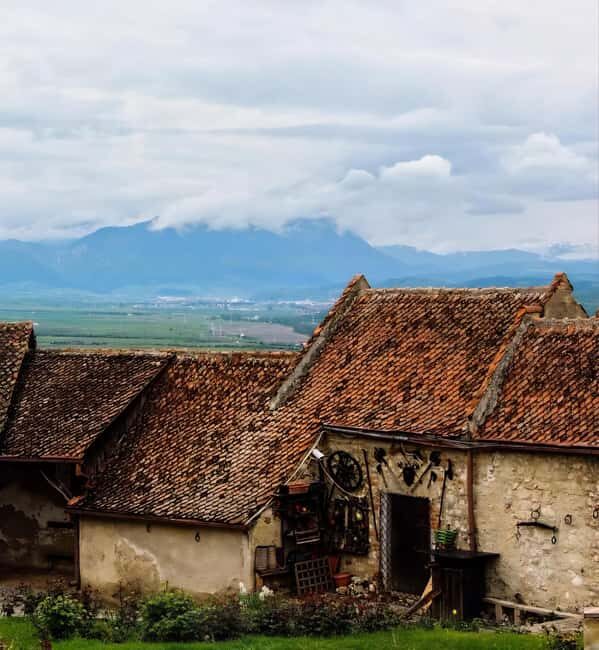 From Bucharest: Bears Sanctuary&Rasnov Fortress Private tour - Why Choose This Tour?