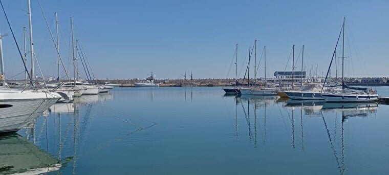 From Bucharest: Black Sea Constana Day Tour - The Sum Up