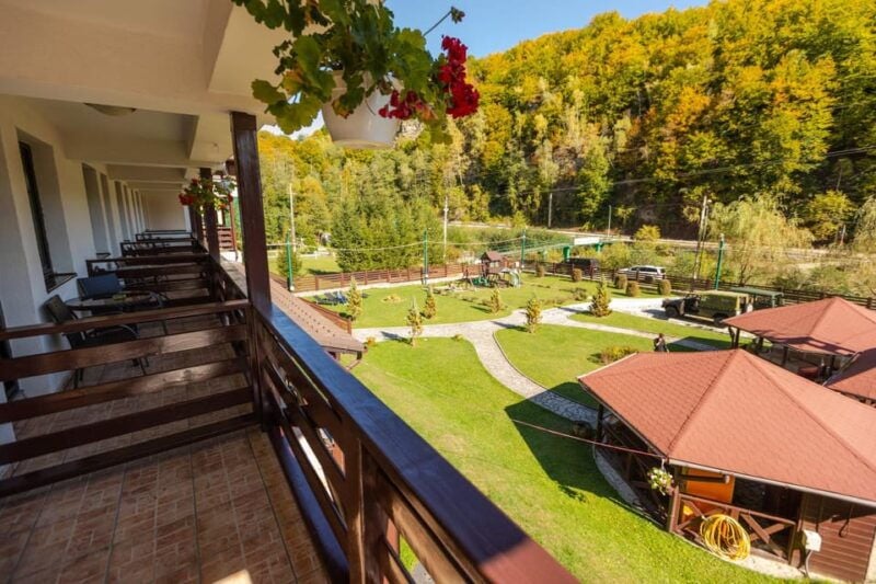 From Bucharest: Brdetu 4x4 Tour with Lunch, Hotel Pick-Up - Good To Know