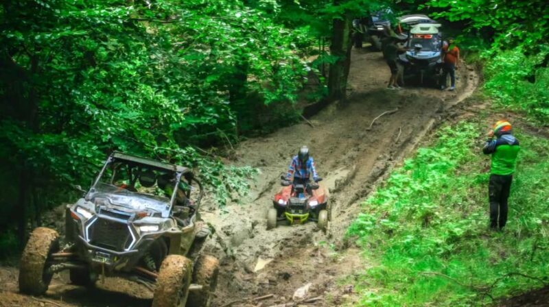 From Bucharest: BUGGY Quad Tour in the Carpathian Mountains - Good To Know