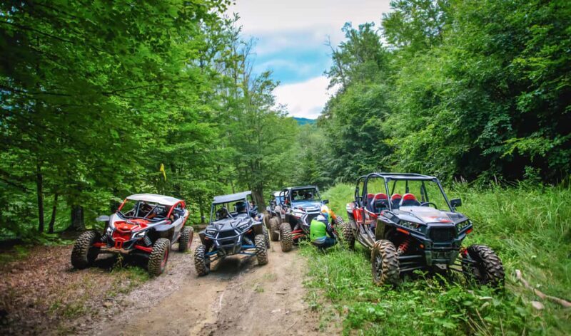 From Bucharest: BUGGY Quad Tour in the Carpathian Mountains - Introduction to the Buggy Experience