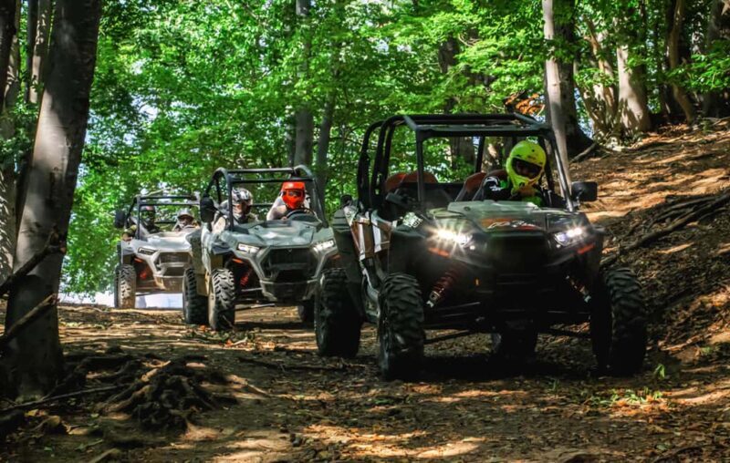 From Bucharest: BUGGY Quad Tour in the Carpathian Mountains - The Experience from a Traveler’s Perspective
