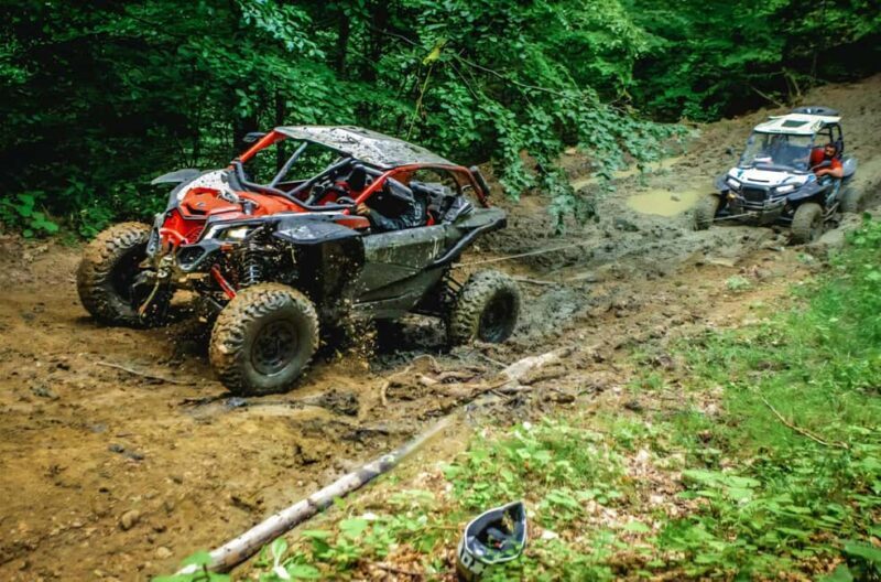 From Bucharest: BUGGY Quad Tour in the Carpathian Mountains - The Sum Up