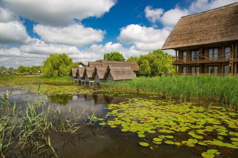 From Bucharest: Day Trip to Danube Delta - The Itinerary Breakdown
