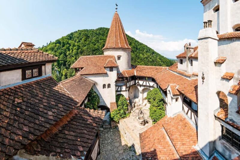 From Bucharest: Day Trip to Dracula's Castle, Peles & Brasov - Who Should Do This Tour?