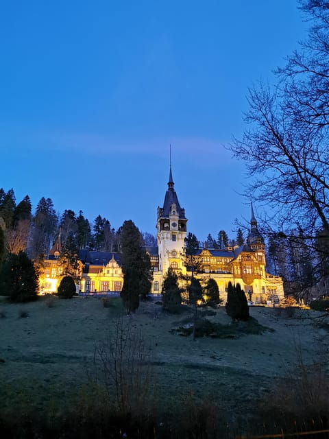 From Bucharest: Day Trip to Peles and Bran Castles with - Overview of the Tour Experience