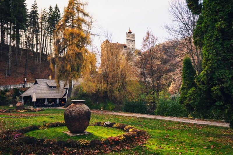 From Bucharest: Dracula's Castle & Bear Sanctuary Adventure - Good To Know