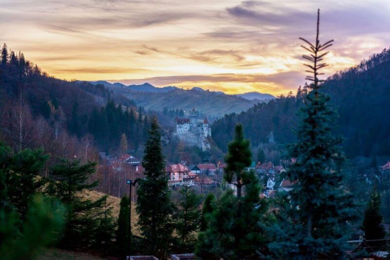 From Bucharest: Dracula's Castle & Bear Sanctuary Adventure - Practical Considerations and Tips