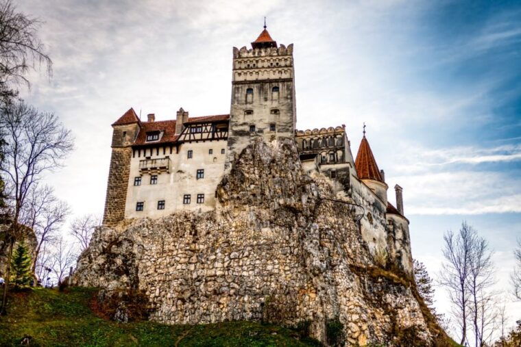 From Bucharest: Dracula's Castle & Bear Sanctuary Adventure - Authentic Insights from Past Travelers