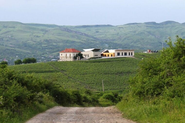 From Bucharest: Exclusive Dealu Mare Wine Tasting Tour - The Scenic Journey and Cultural Highlights