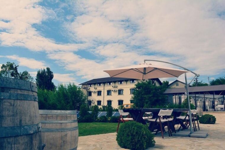 From Bucharest: Exclusive Dealu Mare Wine Tasting Tour - Practical Details and Value for Money