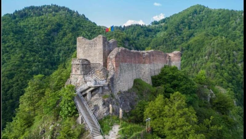 From Bucharest: Fgra Mountains and Bear Watching Tour - A Deep Dive Into the Experience