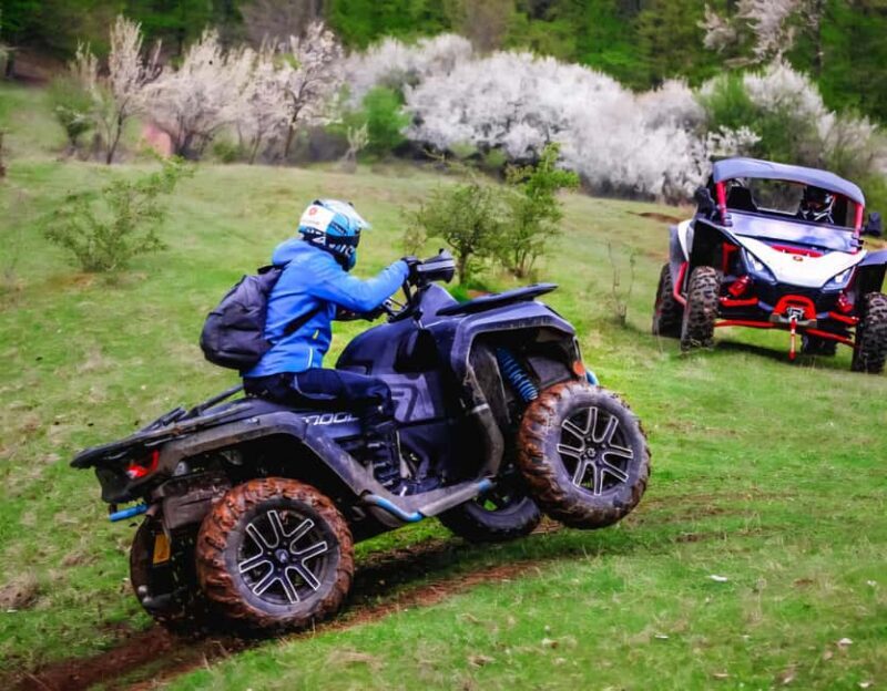 From Bucharest: Fun into the wild Snowmobile tour - Experience Highlights & Authentic Insights