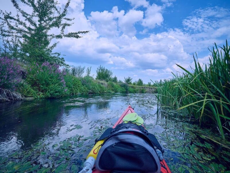 From Bucharest: Neajlov River Kayaking Adventure - Good To Know
