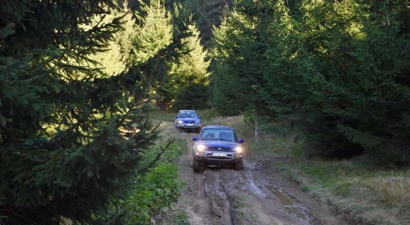 From Bucharest: Off-Road in the Carpathian Mountains - Good To Know