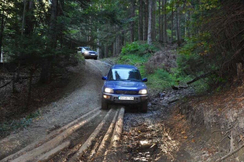 From Bucharest: Off-Road in the Carpathian Mountains - Authentic Experiences and Traveler Insights