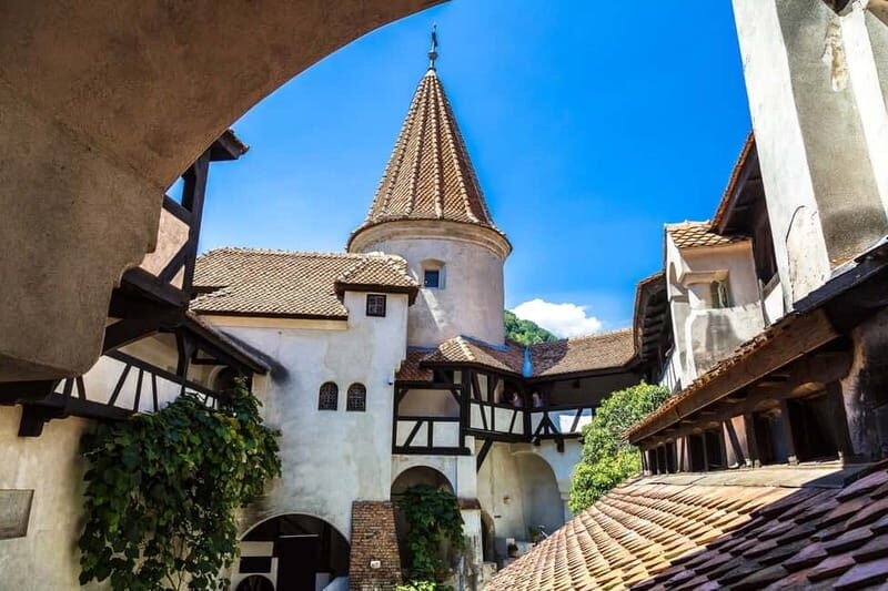 From Bucharest: Peles Castle, Brasov & Bran Castle Day Trip - Who Will Love This Tour?