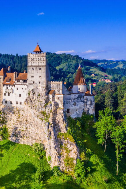 From Bucharest: Peles Castle, Brasov & Bran Castle Day Trip - Customer Reviews and Feedback