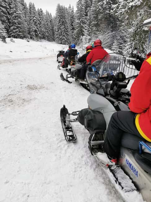 From Bucharest: Snowmobile Tour in the Carpathian Mountains - An In-Depth Look at the Adventure