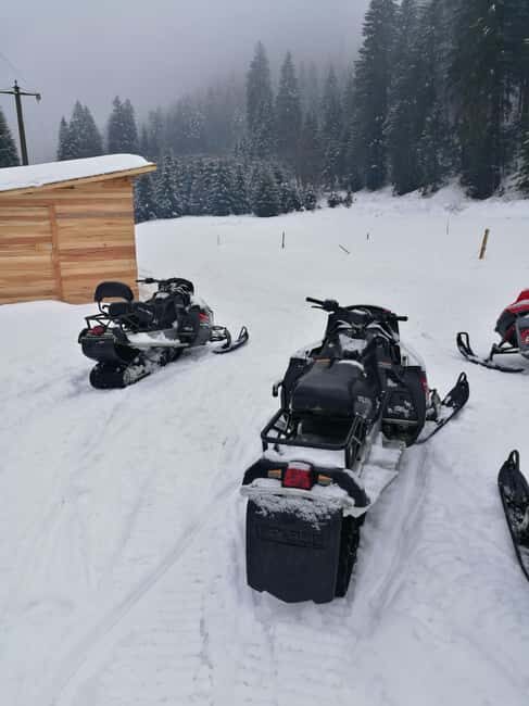 From Bucharest: Snowmobile Tour in the Carpathian Mountains - Final Thoughts